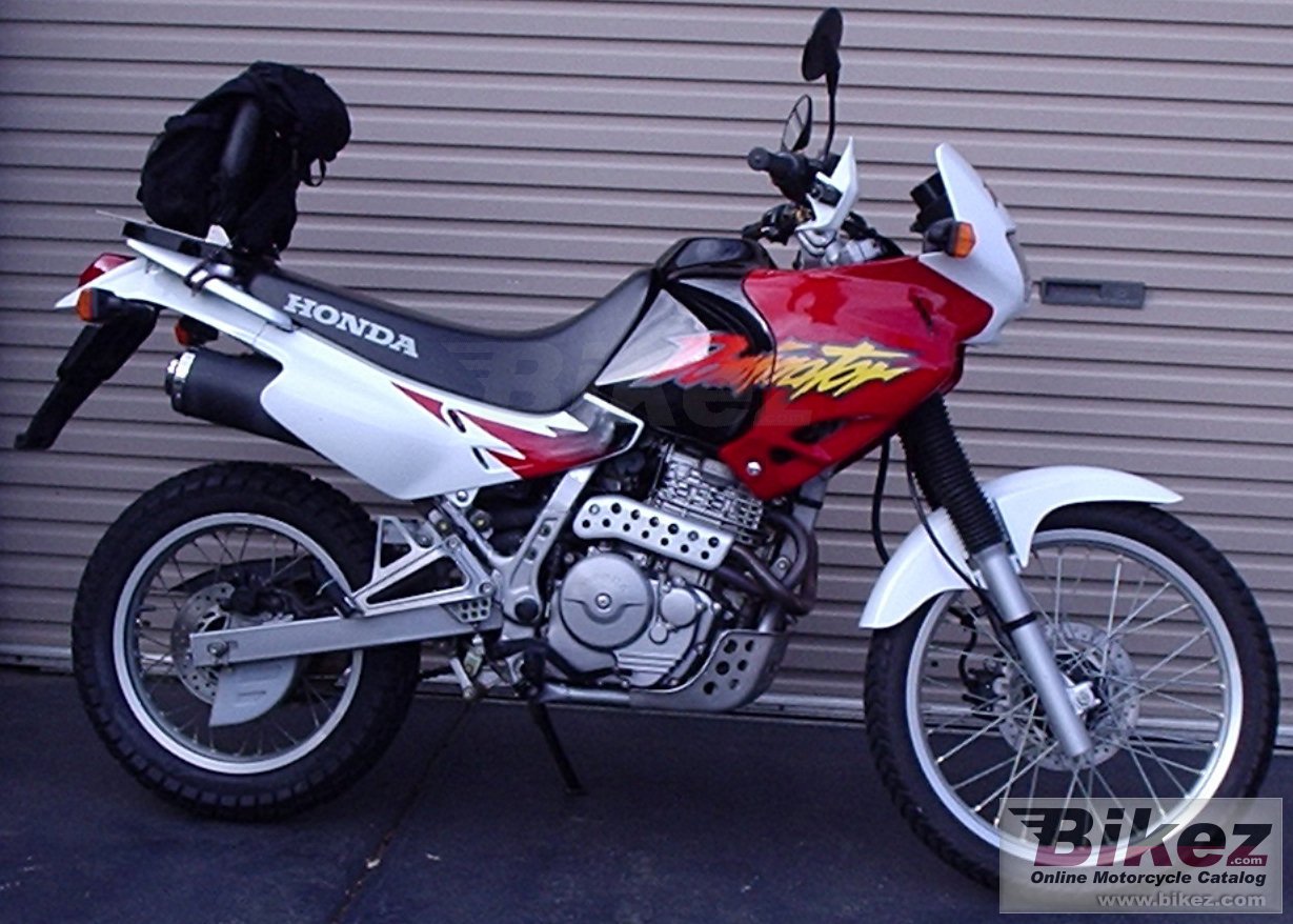 Big Stuart Jones nx 650 dominator picture and wallpaper from Bikez.com